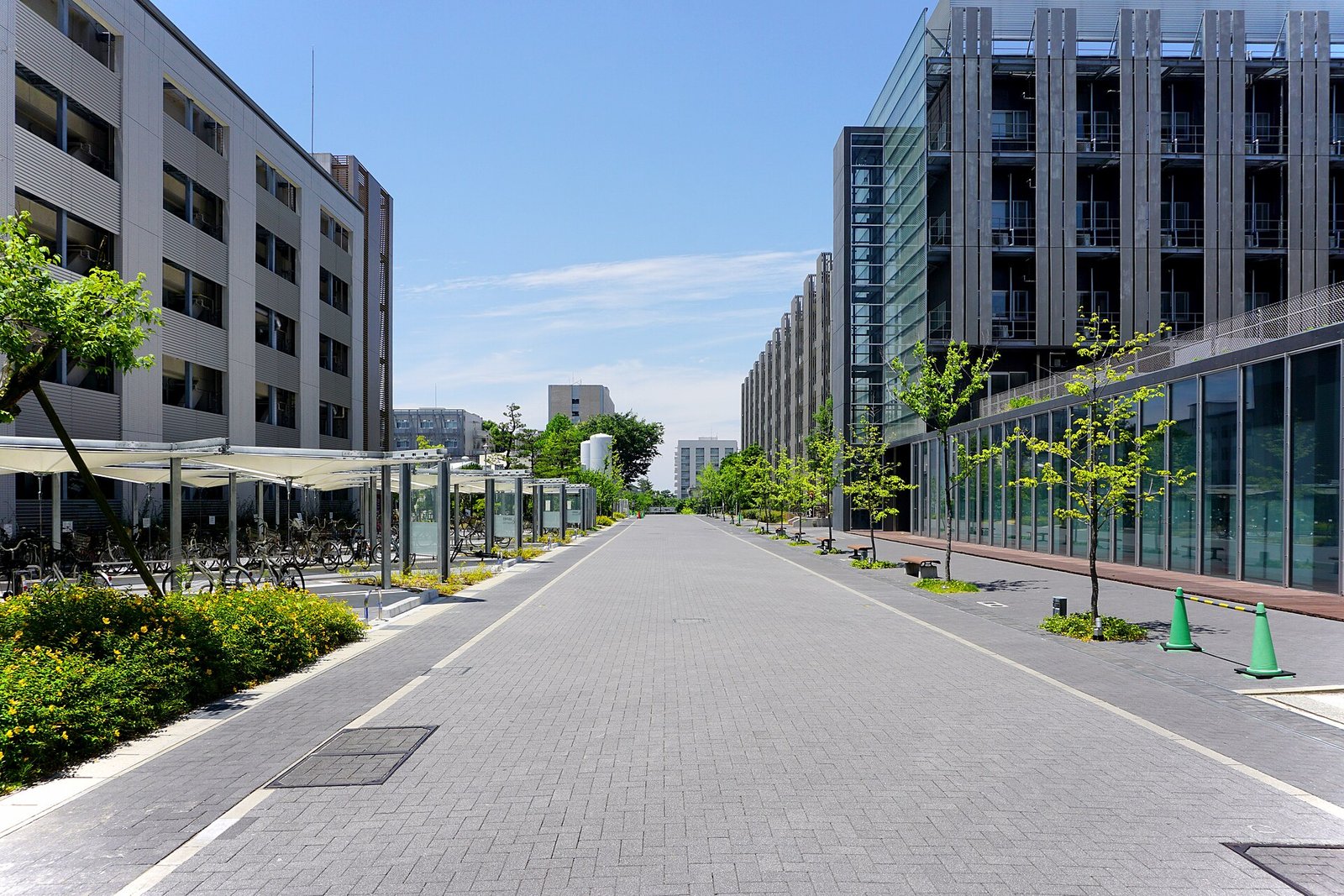 Pedestrian avenue between research buildings at Nagoya University